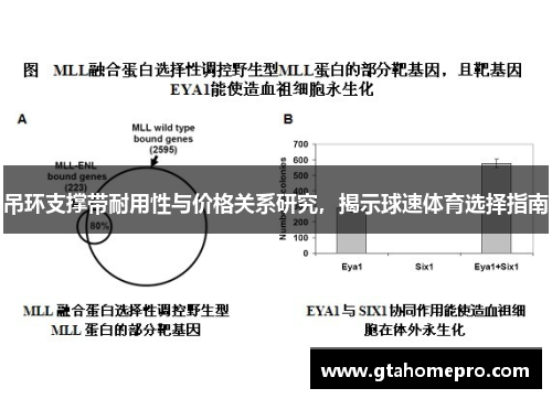 吊环支撑带耐用性与价格关系研究，揭示球速体育选择指南